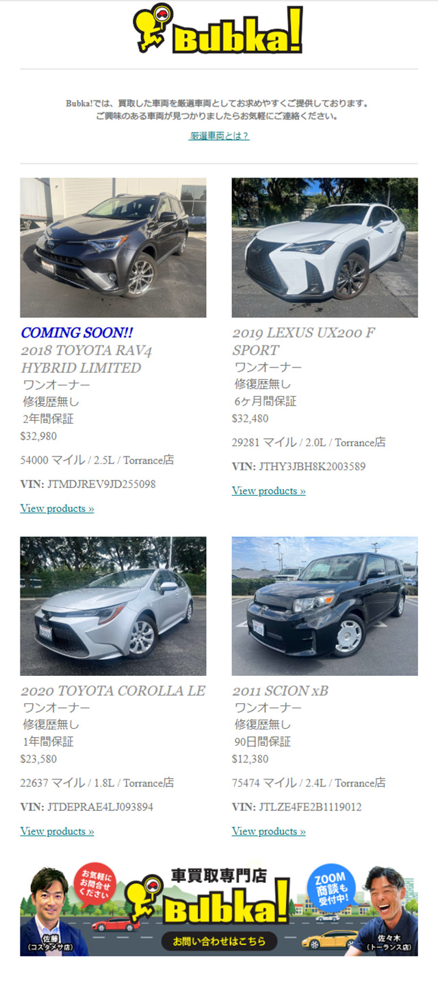 ニュースレターサンプル