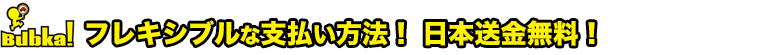 フレキシブルな支払い方法！日本送金無料！